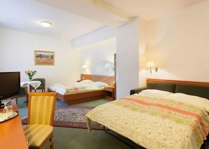 Schani Salon Hotel Vienna